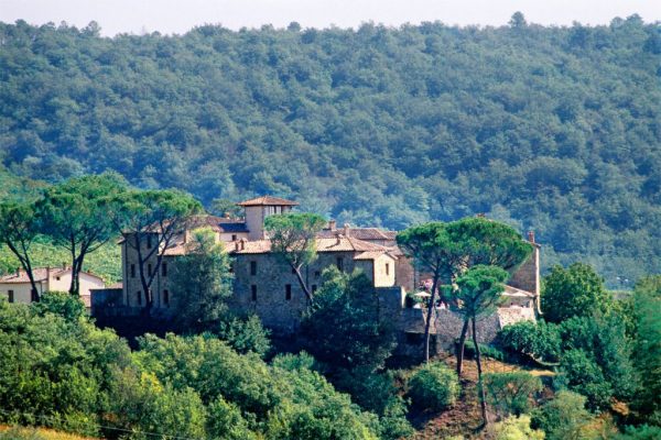 Explore the Chianti Countryside
