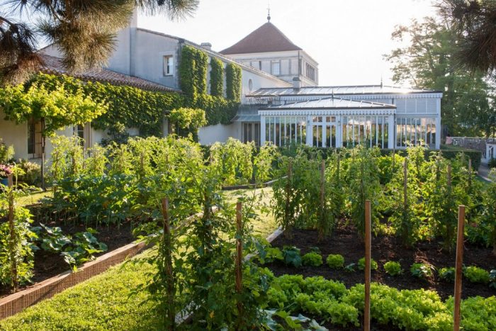 Les Sources de Caudalie – La Grand Vigne garden